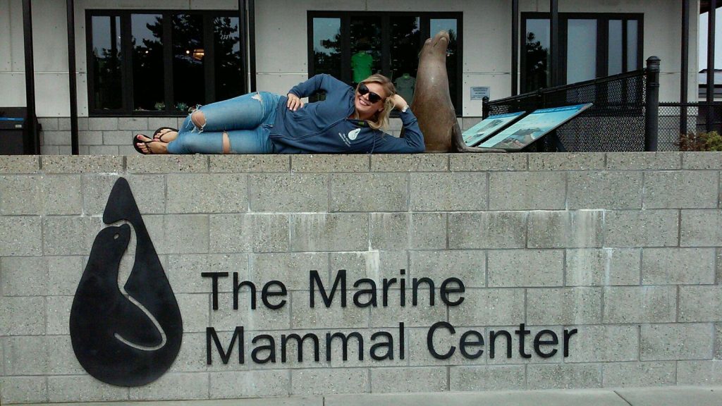 CBE Summer Fellow Mindy Domurat at Marine Mammal Center 2015