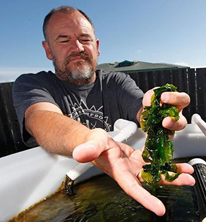 Dr. Michael Graham holding bright green seaweed grown in an aquaculture tank, he's in a t-shirt, sun is shining