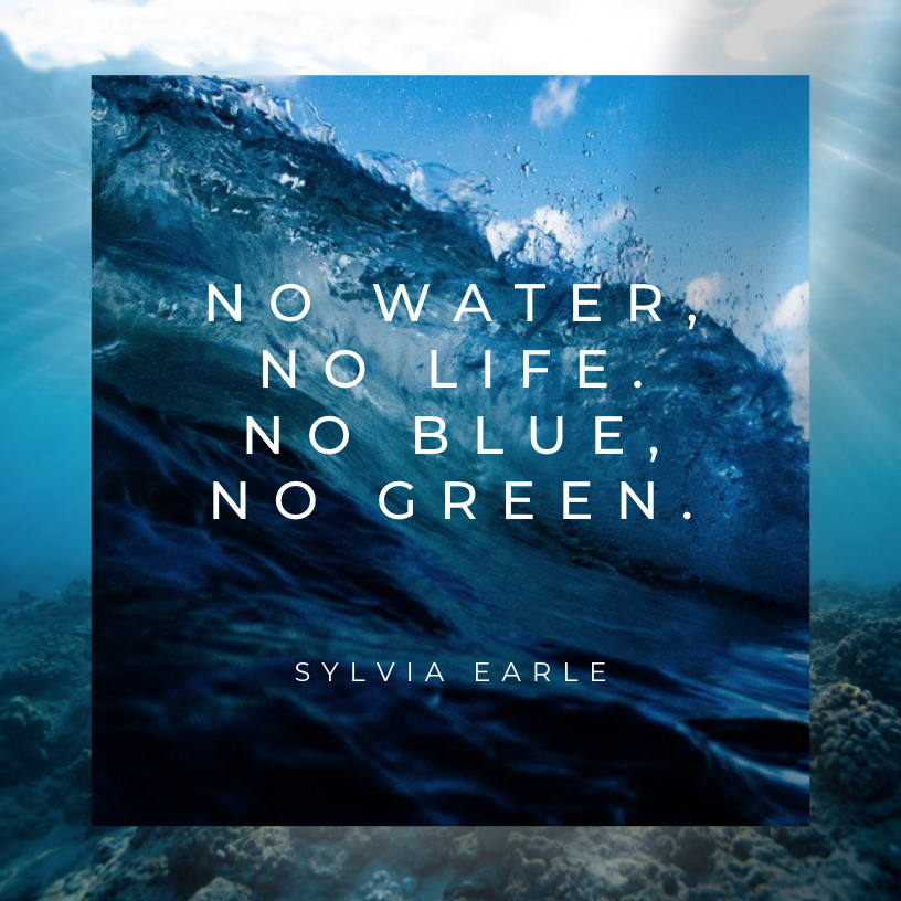 No Water No Life No Blue No Green--Dr. Sylvia Earle