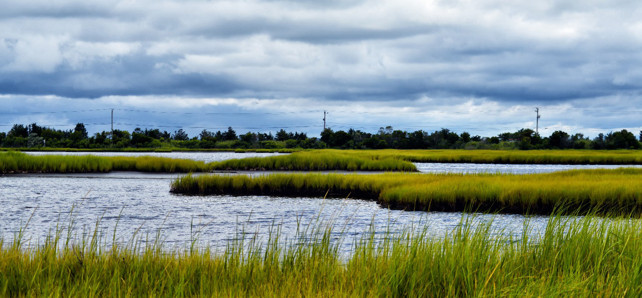 A view of Cape May in New Jersey, green tule grasses and blue-gray waters in the foreground intermingle in elegant sweeps, with dense and abundant clouds above, and the NJ countryside in the background