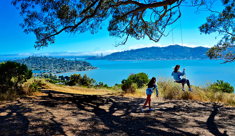 A view of the SF Bay from the south, with a coastal oak forrest and children playing on a tree swing in the forground, and the blue bay and city skyline in the background