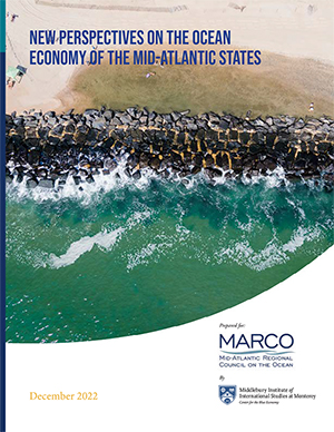 A sea wall separates the beach from the ocean, report cover for New-Perspectives-on-the-Ocean-Economy-of-the-Mid-Atlantic-States