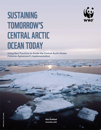 Report cover for WWF report on Central Arctic Ocean--iceburg with pink sky