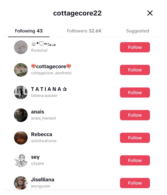 Cottagecore22 followers list
