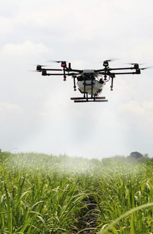 Drone spraying pesticides. 