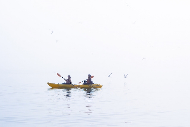 Foggy morning in Monterey Foggy Morning Kyaking in Monterey