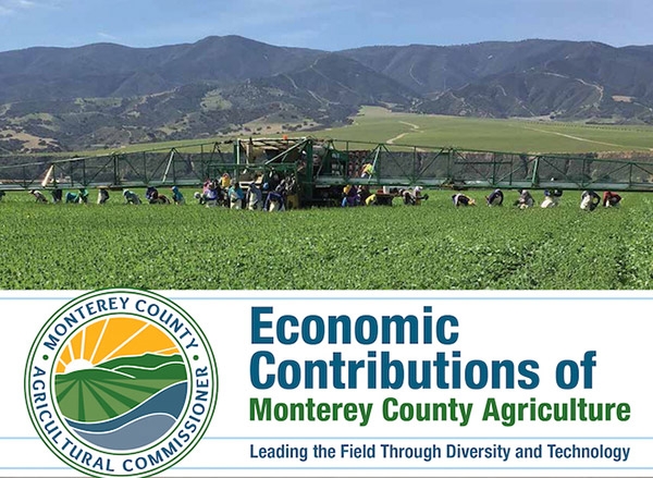 Economic Contributions of Monterey Agriculture Monterey County Graphic with Farm Workers in the Field
