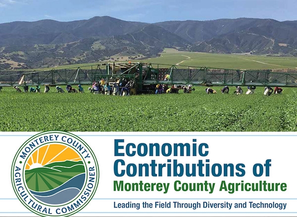 Monterey County Graphic with Farm Workers in the Field