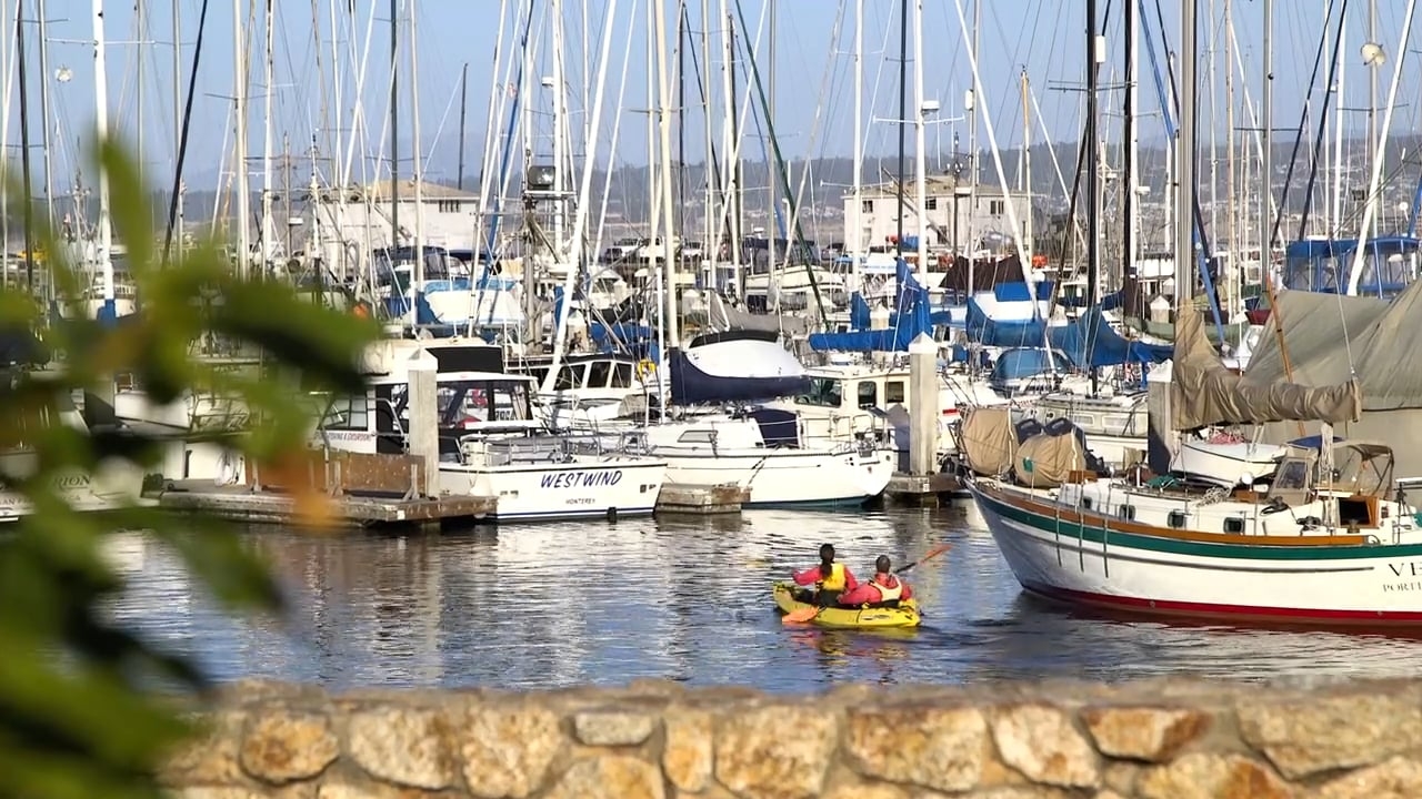 A view of Monterey harbor.