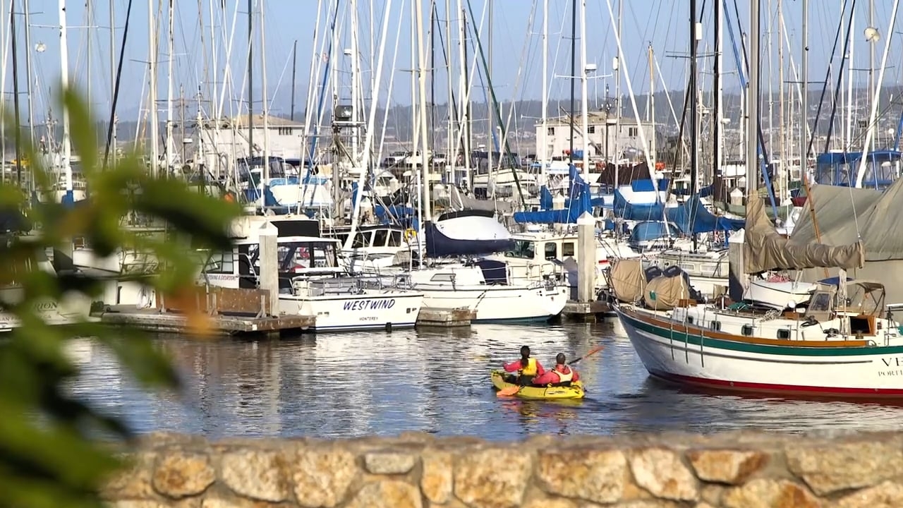 A view of Monterey harbor.