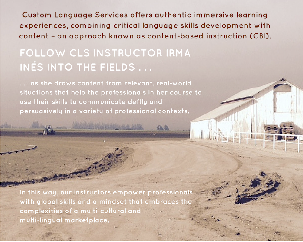 Custom Languages Services offers authentic immersive learning experiences