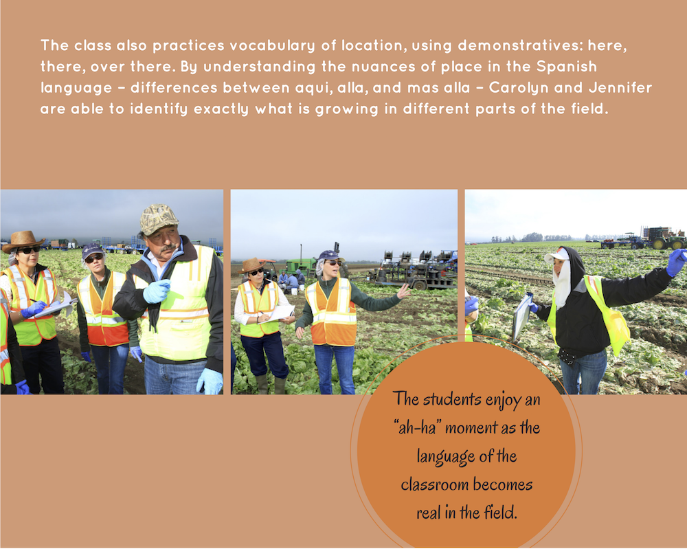 Class practices vocabulary in the lettuce fields