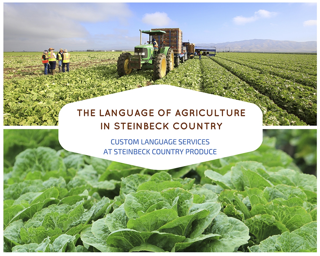 The Language of Culture in Steinbeck Country