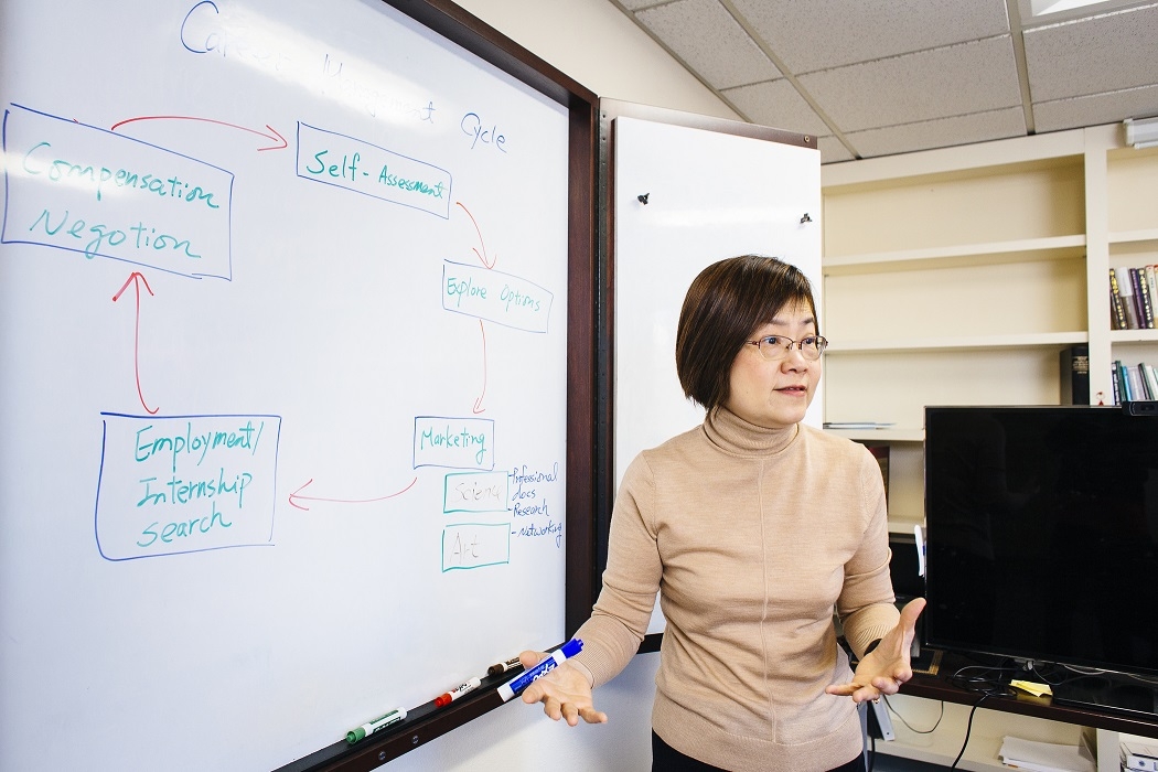 Teacher showing career management cycle on a whiteboard