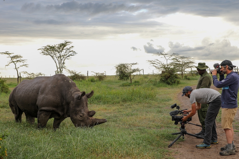 Filming in Ol Pejeta 