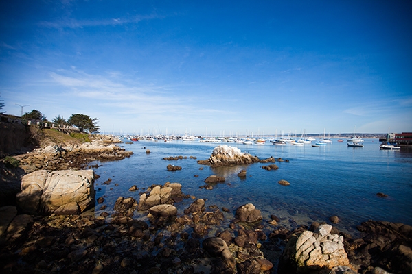 The Monterey Harbor, just south of the tourist Fisherman's Wharf