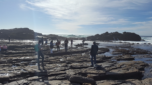 Students at Point Lobos exploring the tidepools.  