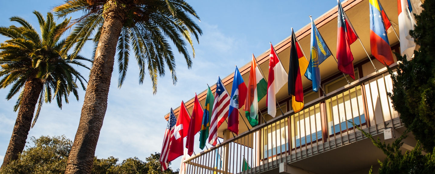 Flags