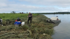 Stillaguamish River Wetland Restoration