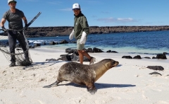 Andres Schrier in Galapagos