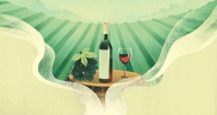 Spanish for the Wine Industry illustration