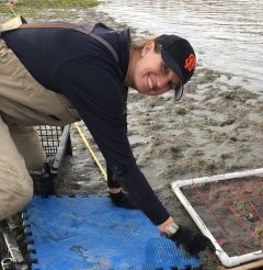 Katie Nichols, Marine Restoration Director, Orange County Coastkeeper, doing the very active work of oyster restoration-on hands/knees with a transcect placed carefully on the mud, a big smile on her face, and we will forgive her for wearing an SF Giants baseball cap (Go A's!)  