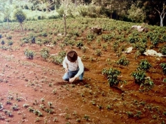 Grandfather Sabino