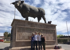 MBA Students in front of Bull Statue in Chihuahua, Mexico
