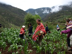 Phil Murphy in Peru