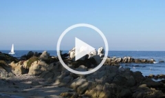 Center for the Blue Economy Video