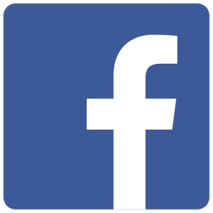 facebook logo with white f in a blue background because facebook f's democracy