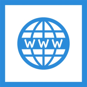 A blue box holding a globe covered by blue lines and "W W W" for the world wide web--i dunno about you but life was better before computers