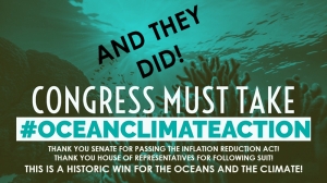 Underwater scene with words "Congress Must Take #OceanClimateAction" and overlayed on top "And They Did!"