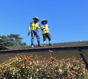 photo of Mynt employees on the roof
