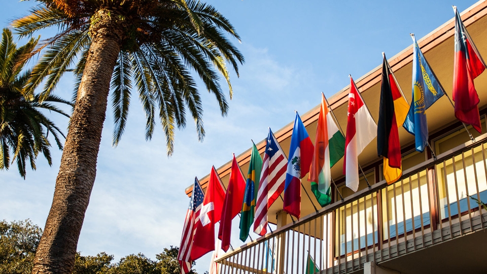 An array of international flags fly from a campus building beneath a sunny blue sky and local palm trees.