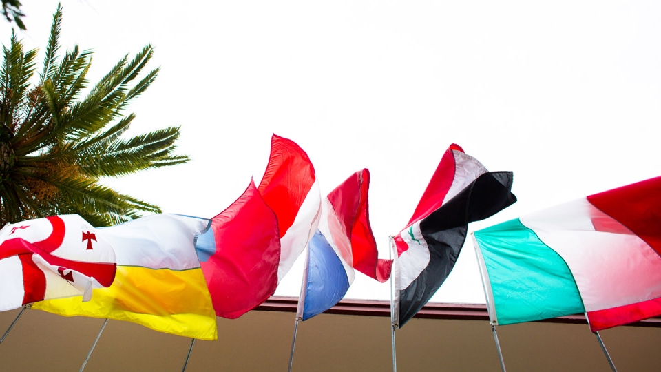 Looking up at the many international flags that fly outside the building at the center of campus.