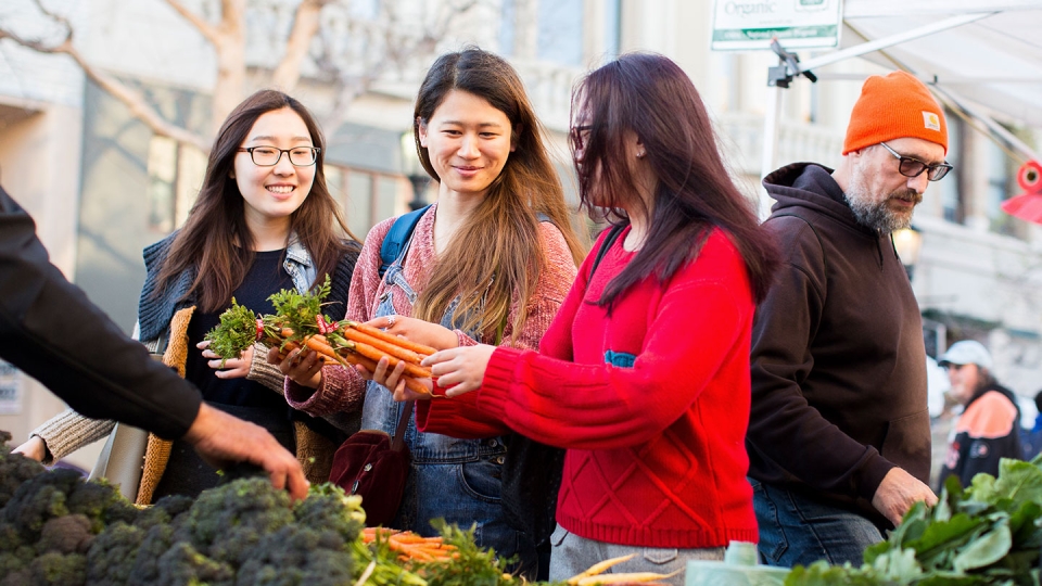 Students visiting the local farmers' market select carrots from a table of fresh produce.