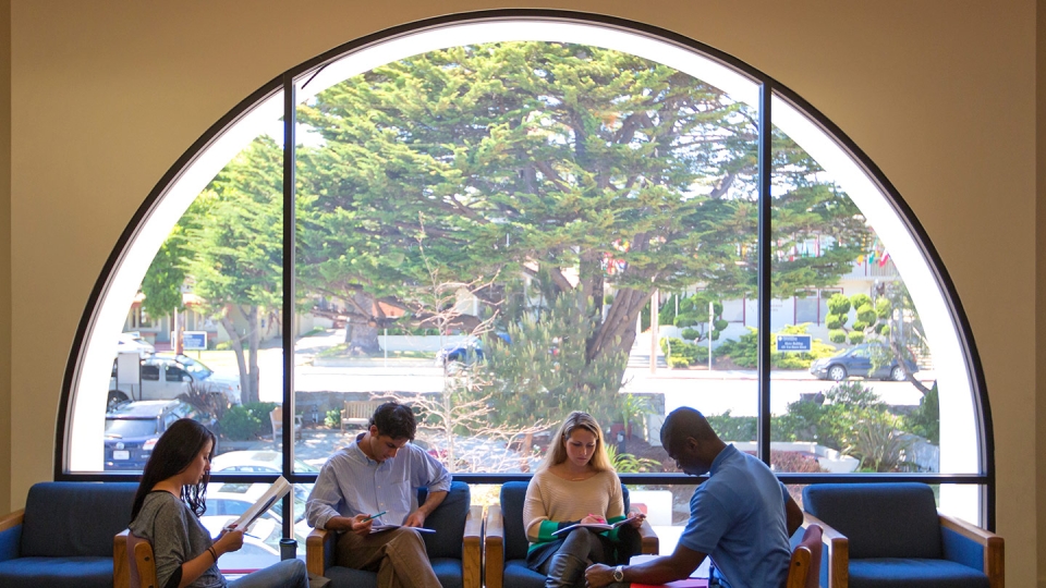 Students work near the large sun-filled window of the campus library.
