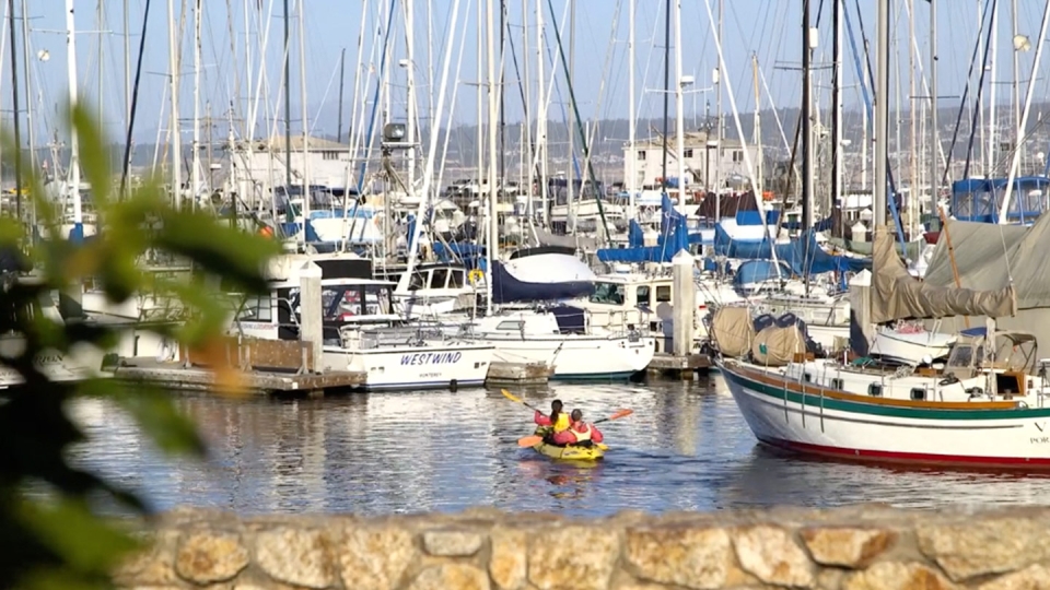 A photo of the marina filled with sailboats on a sunny day.