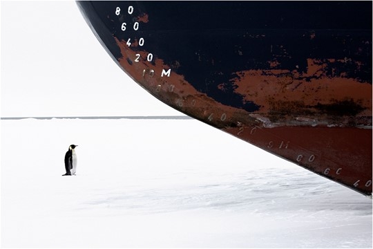 Antarctic Penguin (black and white) standing alone on a sea of white ice facing off with gigantic Icebreaker ship's hull (black and red)-photocredit-JohnBWeller