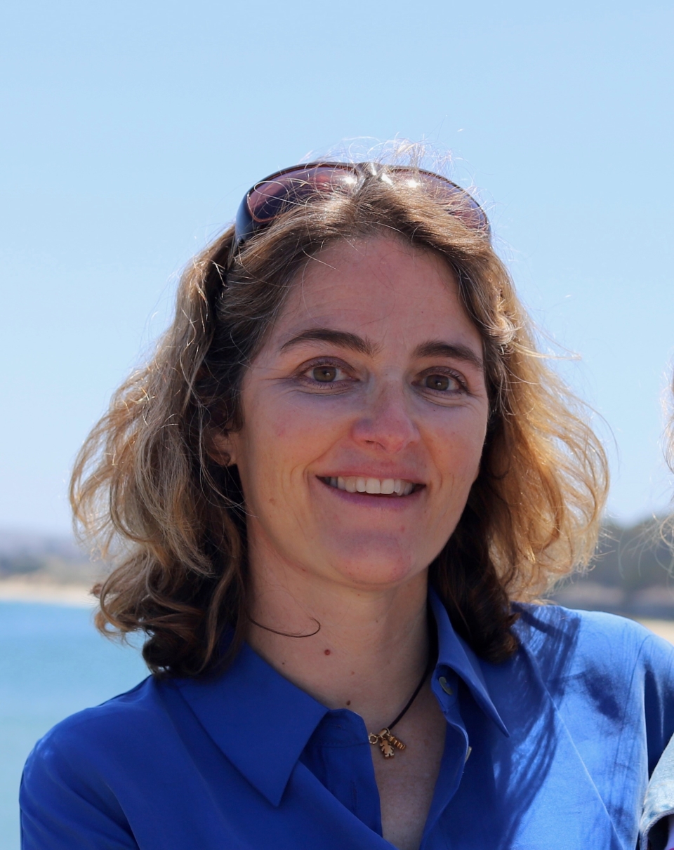 Headshot of Annick Cros, smiling brightly, short dark hair, looking directly at camera,sunglasses on head, blue blouse, against backdrop of beach/ocean