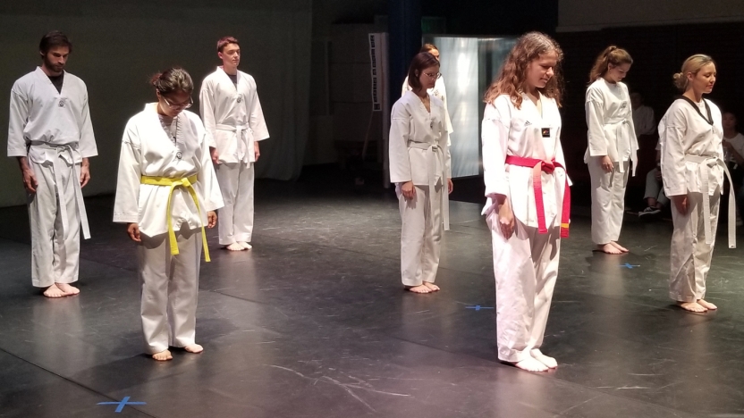 Group of students practicing martial arts.