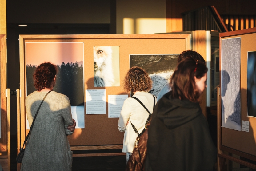 Students look at photography in a gallery. 