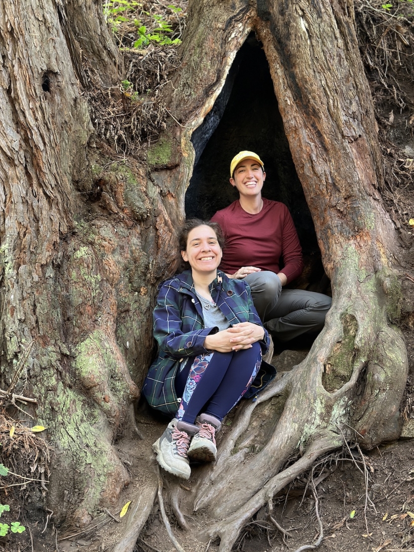 Two people sit in a hole in a huge tree, smiling at the camera
