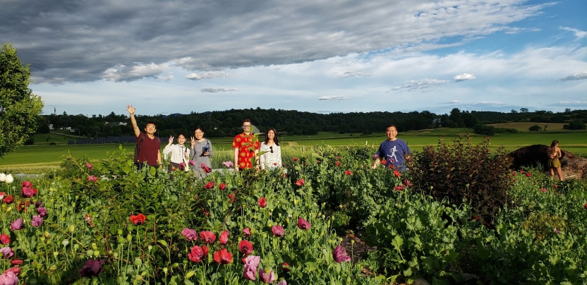 Students in the garden at Middlebury College. 