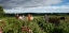 Students in the garden at Middlebury College.