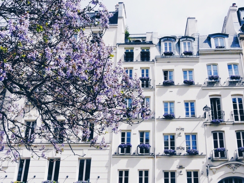 A beauitful white building in Paris with purple flowers.