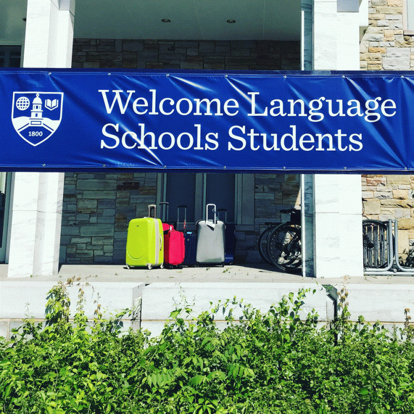 Welcome to the Language Schools!