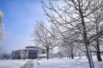 Davis Family Library