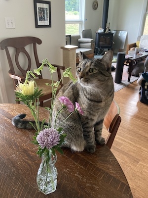 Wanda smelling the flowers